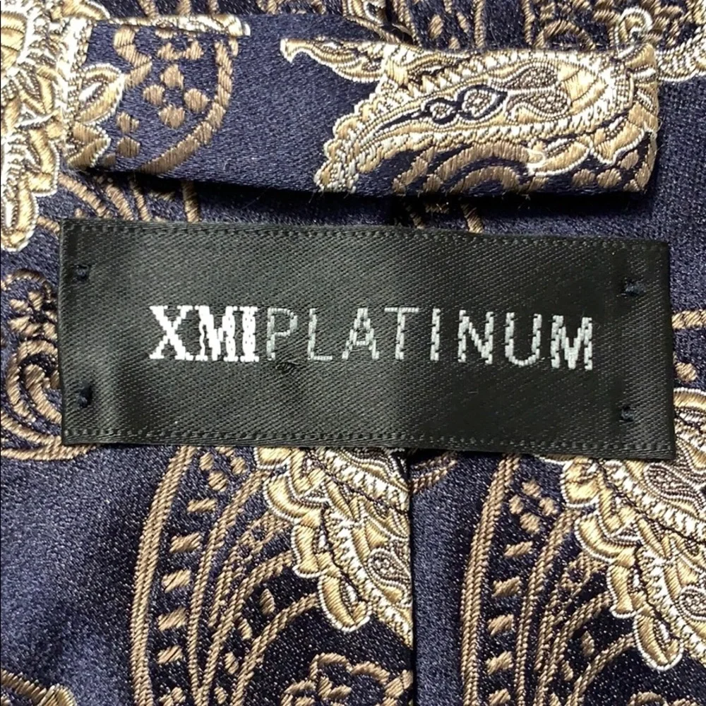 XMIPlatinum 100% Italian silk paisley tie made USA